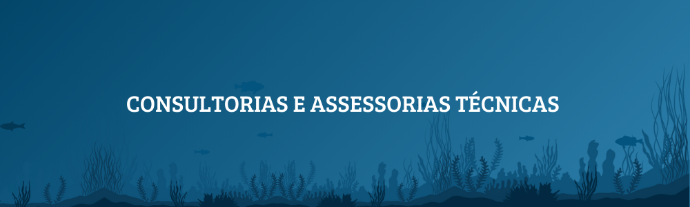 Consultorias e assessorias técnicas