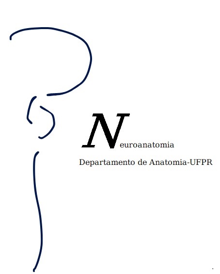 NeuroAnato-ufpr